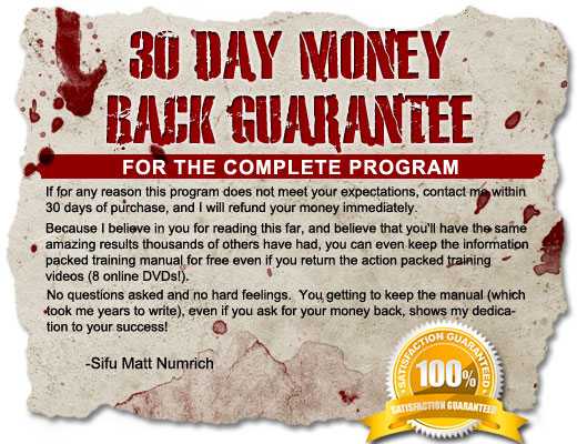 Fearless Street Fighter - Money Back Guarantee
